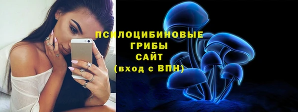 кокс Баксан