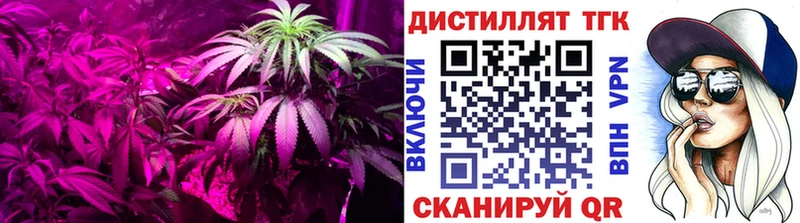 hydra ТОР  маркетплейс формула  Дистиллят ТГК Wax  Нефтегорск 