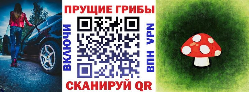 Псилоцибиновые грибы мицелий  Нефтегорск 